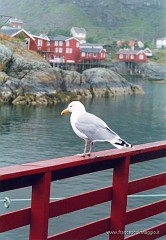 76.jpg  76